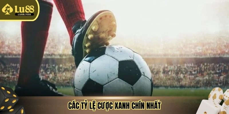 Các tỷ lệ cược xanh chín nhất