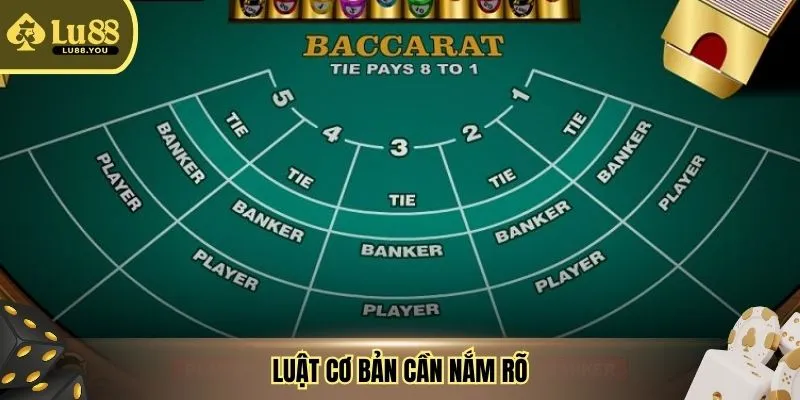 Luật cơ bản cần nắm rõ