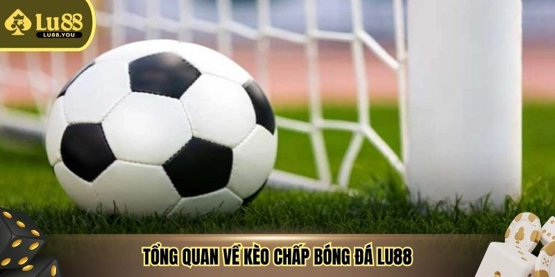Tổng quan về kèo chấp bóng đá Lu88